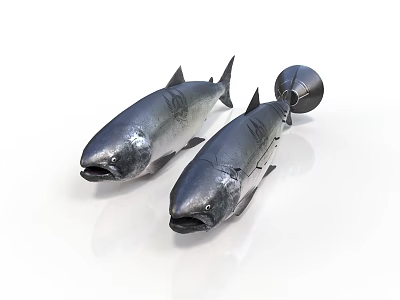 Two Shiny Dark Fish On White Background With Fish Shaped Object 3d model