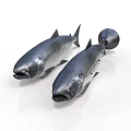 Two Shiny Dark Fish On White Background With Fish Shaped Object