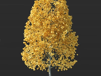 Tall Tree with Vibrant Golden Lush Foliage Against Dark Background 3d model