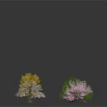 Colorful Trees with Yellow White Green Pink and Gray Foliage on Dark Background