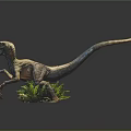 Lifelike Velociraptor Dinosaur Model In Dynamic Pose With Green Ferns And Sharp Claws