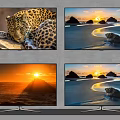 Multiple TV Screens Display Leopard Sunrise And Beach Rock Nature Scenes