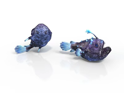 Two Purple Anglerfish with Blue Fins in 3D Rendering on White Background 3d model