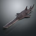 Realistic Long Snouted Shark Model With Serrated Teeth Scientific Display Equipment