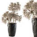 Shower Sauna Area With Black Textured Planter Holding Dried Plants Decoration