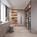 Modern Walk in Closet Interior With Glass Door Cabinets Mirror Storage Shelves And Stool