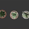 Succulent Plants In Red Brown And White Pots Arranged On Dark Surface With Green Leaves