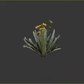 Lush Indoor Decorative Plant With Green Leaves And Vibrant Yellow Flowers