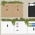 Wooden Black White Storage Cabinet With Drawers Green Plants On Top And Colorful Folders Inside