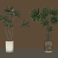 Modern Middle Ancient Green Plant Potted Plant 3d model