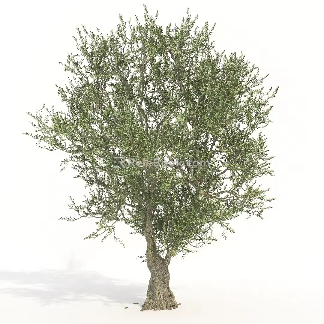 Trees Big Trees Landscape Trees Arbor 3d model