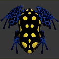 Frog Poison Frog Game Frog Reptile Cold Blooded Animal Reptile 3d model