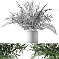 Clear Glass Vase With Fresh Green Leafy Plants And Fern Decor