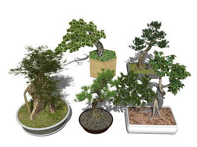 Various Bonsai Trees With Different Shapes And Decorative Pots For Home Decor 3d model