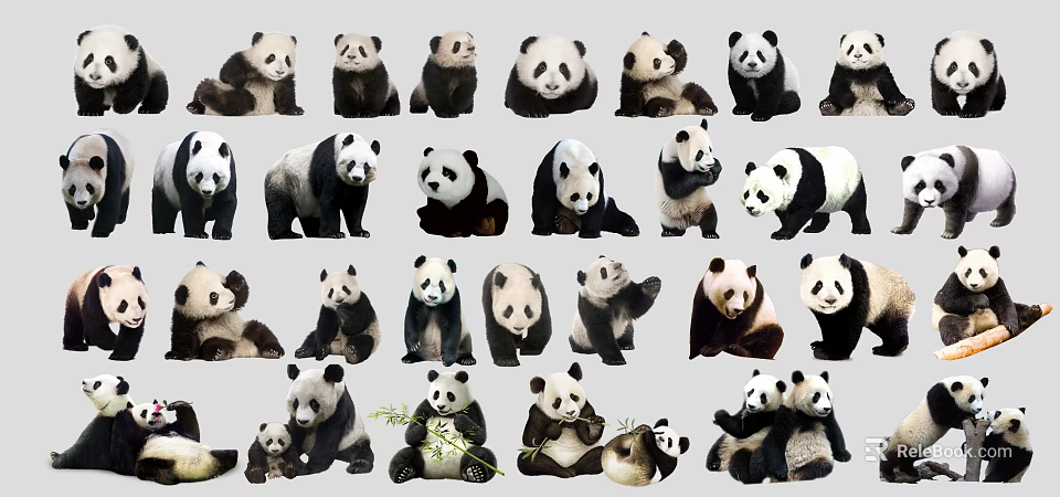 Various Reptile Species Displayed In Different Natural Poses And Habitats 3d model 