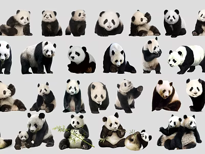 Various Reptile Species Displayed In Different Natural Poses And Habitats 3d model