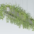 Lush Trailing Vines In Hanging Planter With Green Foliage And Suspended Design