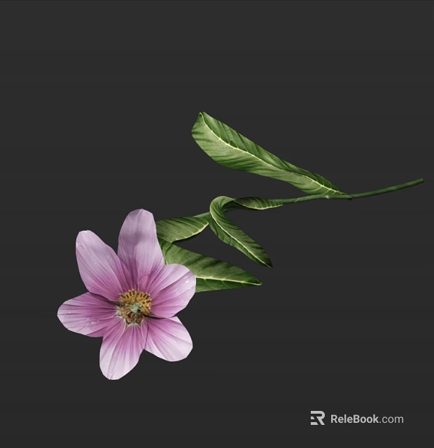 Elegant Pink Flower with Delicate Petals and Fresh Green Leaves on Dark Background 3d model 