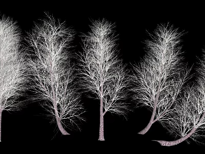 Multiple Leafless Shrub Silhouettes With Slender Twisted Branches On Black Background 3d model