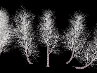 Landscape Trees and Shrubs 3d model