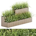 Modern Wooden Tiered Tree Planter Box With Lush Green Leafy Plants