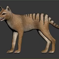 Wild Canine Animal With Brown Fur Black Stripes And Long Tail