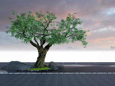 Large Arbor With Thick Trunk Lush Green Leaves Stones On Paved Ground Under Sunset Sky 3d model