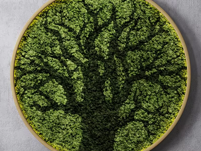 Tree Shaped Greenery Wall In Circular Frame On Gray Wall 3d model