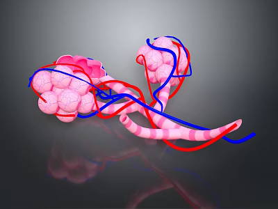 3D Medical Device Anatomical Model Featuring Pink Cellular Structures And Colored Vessels 3d model