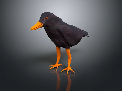Black Bird with Orange Beak and Feet Standing on Dark Reflective Surface 3d model