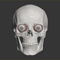 Modern skull glasses human eye eyeball 3d model