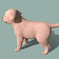 Light Pink Puppy Standing Against Light Green Background With Shadow 3d model