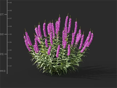 Vibrant Purple Flowers With Lush Green Leaves In Garden Cluster 3d model
