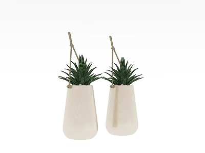 Two White Hanging Planters With Green Aloe Vera Like Bonsai Plants 3d model