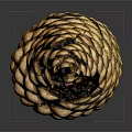 Close Up View Of Natural Detailed Pine Cone With Textured Brown Surface