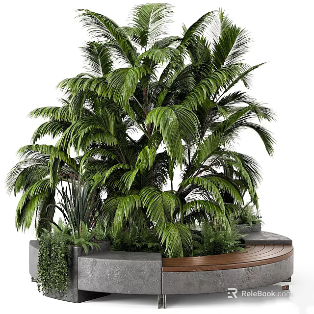 Modern Garden Decor With Tall Palm Plant Small Green Plants Curved Concrete Wooden Planter 3d model 