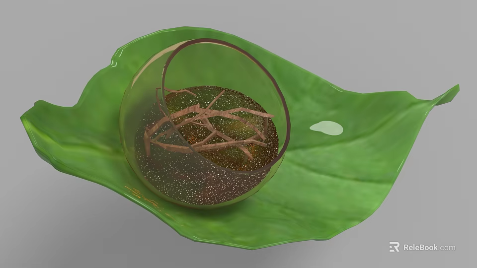 Decorative Ornament Set With Green Leaf Shaped Base Transparent Round Container And Brown Lines 3d model 