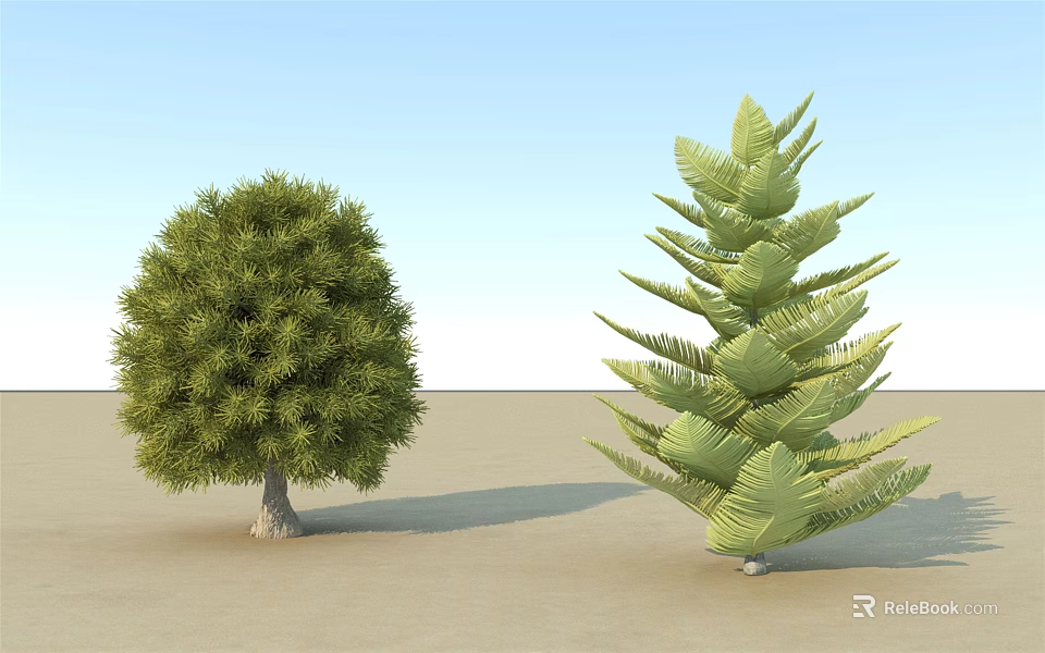 Two Arbors With Round Dense Foliage And Tall Layered Leaves On Sandy Ground Blue Sky 3d model 