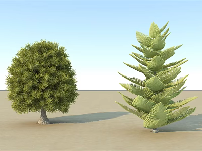 Two Arbors With Round Dense Foliage And Tall Layered Leaves On Sandy Ground Blue Sky 3d model