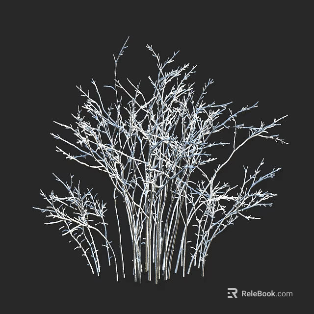 Elegant White Branch Decorative Shrub With Leafless Twigs On Black Background 3d model 