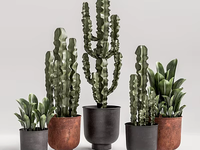 Decorative Bonsai Potted Plants With Cactus And Green Plants In Black Brown Ceramic Pots 3d model