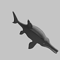 Realistic 3D Model of Aquatic Reptile With Long Snout Flippers and Gray White Coloration
