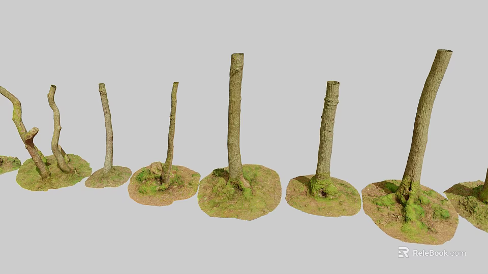 Natural Wooden Tree Trunks with Stone Bases Covered in Lush Green Moss 3d model 
