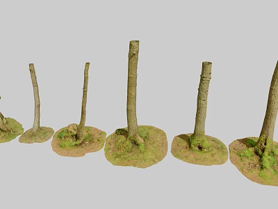 Natural Wooden Tree Trunks with Stone Bases Covered in Lush Green Moss 3d model