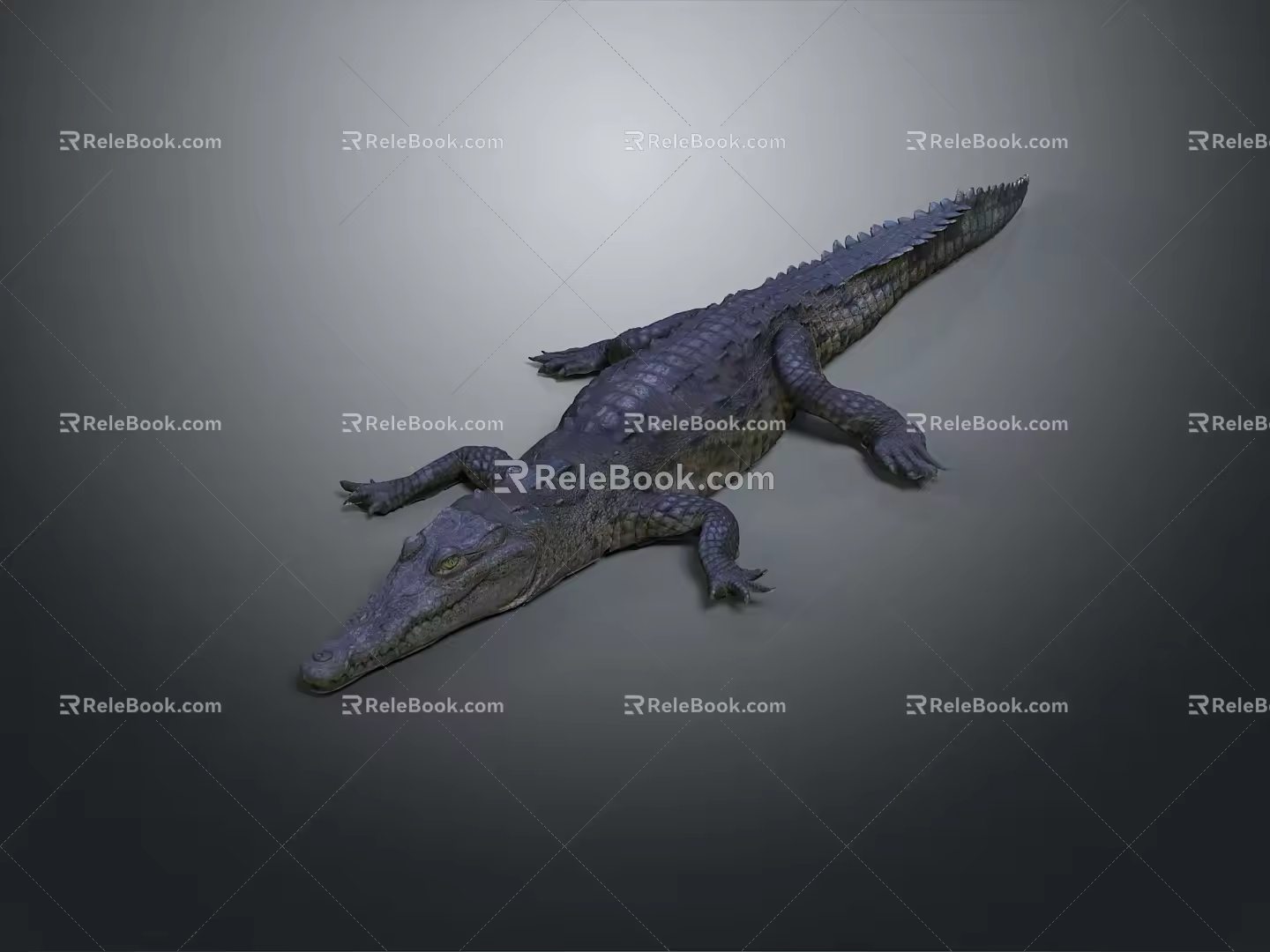 Crocodile Alligator Nile Crocodile carnivore reptile cold-blooded animal reptile 3d model