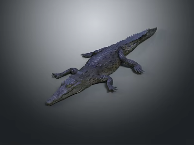 Detailed Realistic Reptile Crocodile with Scaly Skin Lying on Gray Background 3d model
