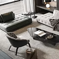 Modern Green and Beige Sofa Coffee Table Set with Rug Armchair and Bookshelves
