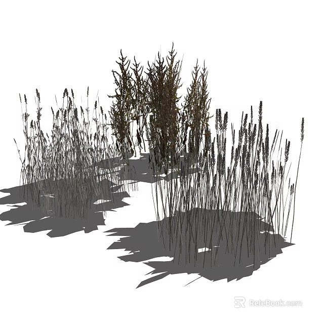 Tall Grass And Diverse Plants In Natural Outdoor Landscape With Shadows 3d model 