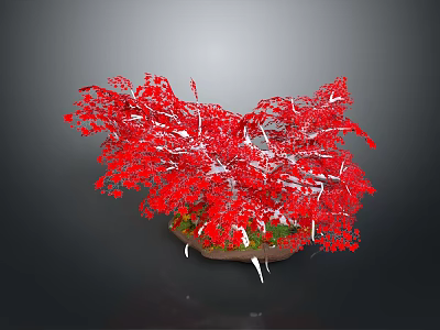 Vibrant Red Plant with White Branches and Green Base on Dark Background 3d model