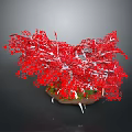 Vibrant Red Plant with White Branches and Green Base on Dark Background